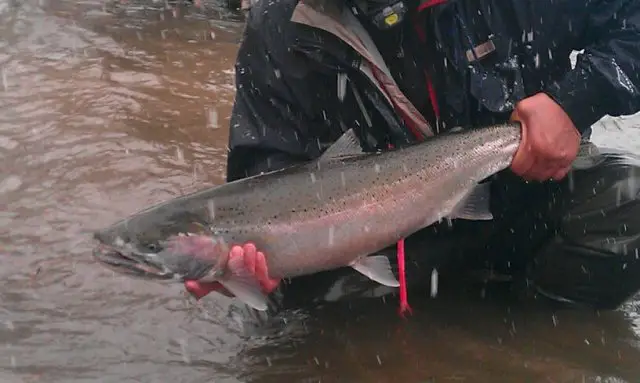 January 16th 2012.jpg