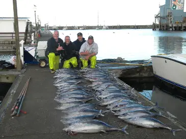 Westport Tuna1.jpg