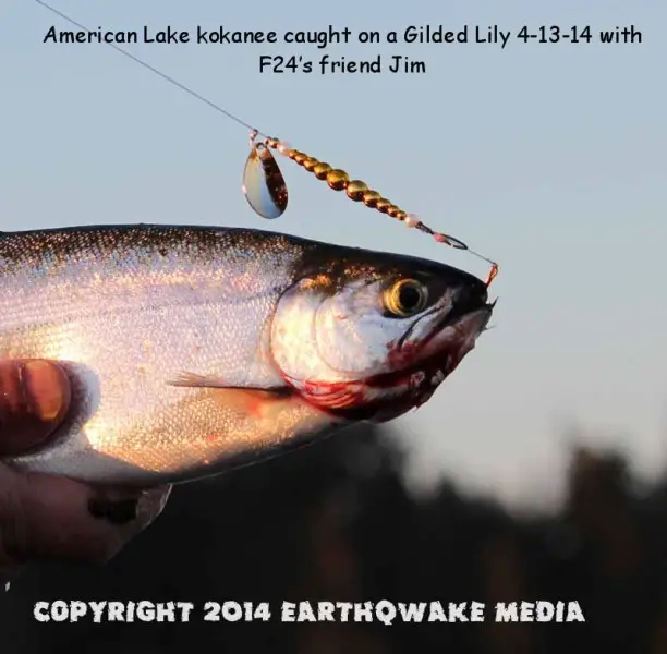 F24 american lake.jpg