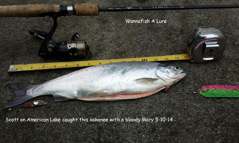 5-10-14 American.jpg