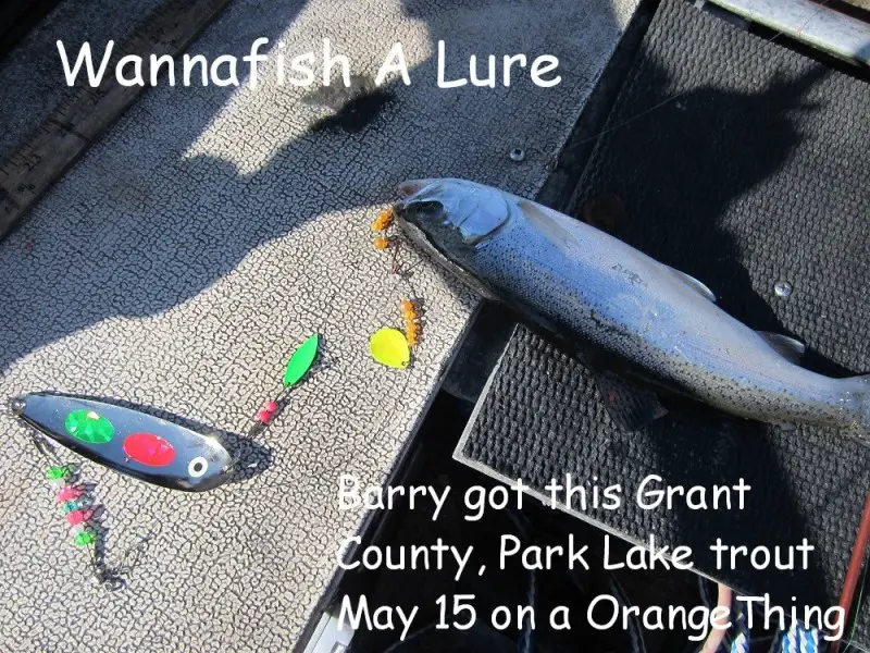 Barry park lake trout.JPG