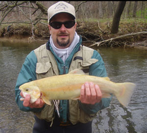 nw04_18golden.jpg