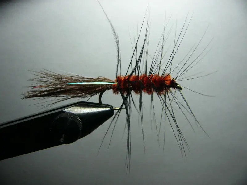 woolly_bugger.jpg