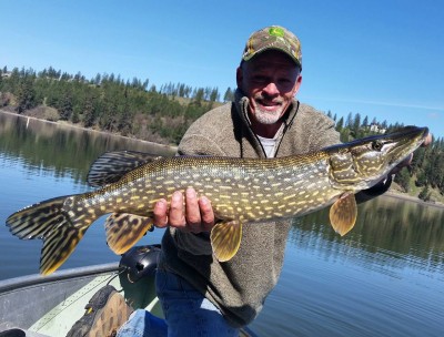 pike 3.jpg