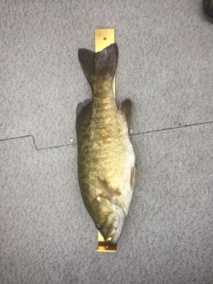Tapps - 4lbs 5oz 21in 09-14-2019 (2).jpg