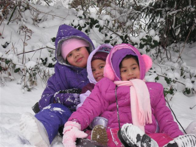 Snow_Dec_2008_2_007_Small.jpg