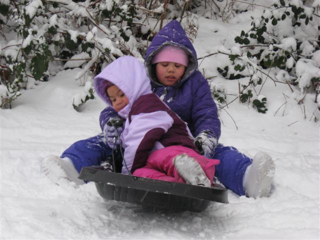 Snow_Dec_2008_2_006_Small.jpg