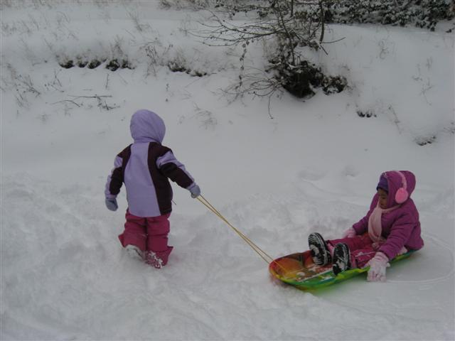Snow_Dec_2008_2_004_Small.jpg