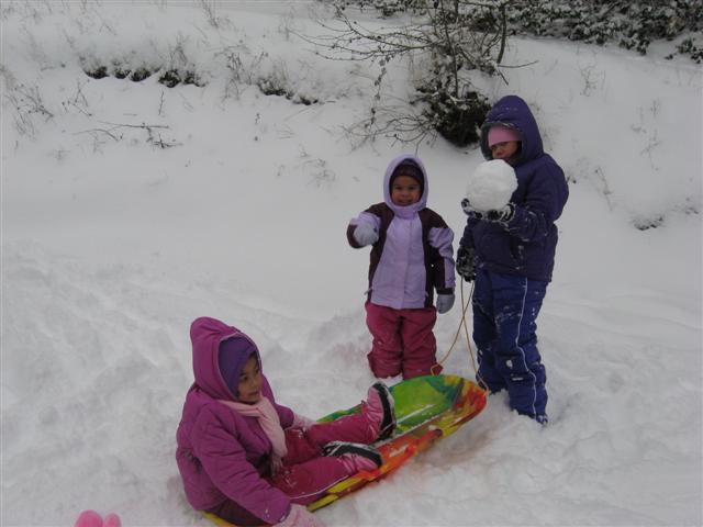 Snow_Dec_2008_2_003_Small.jpg