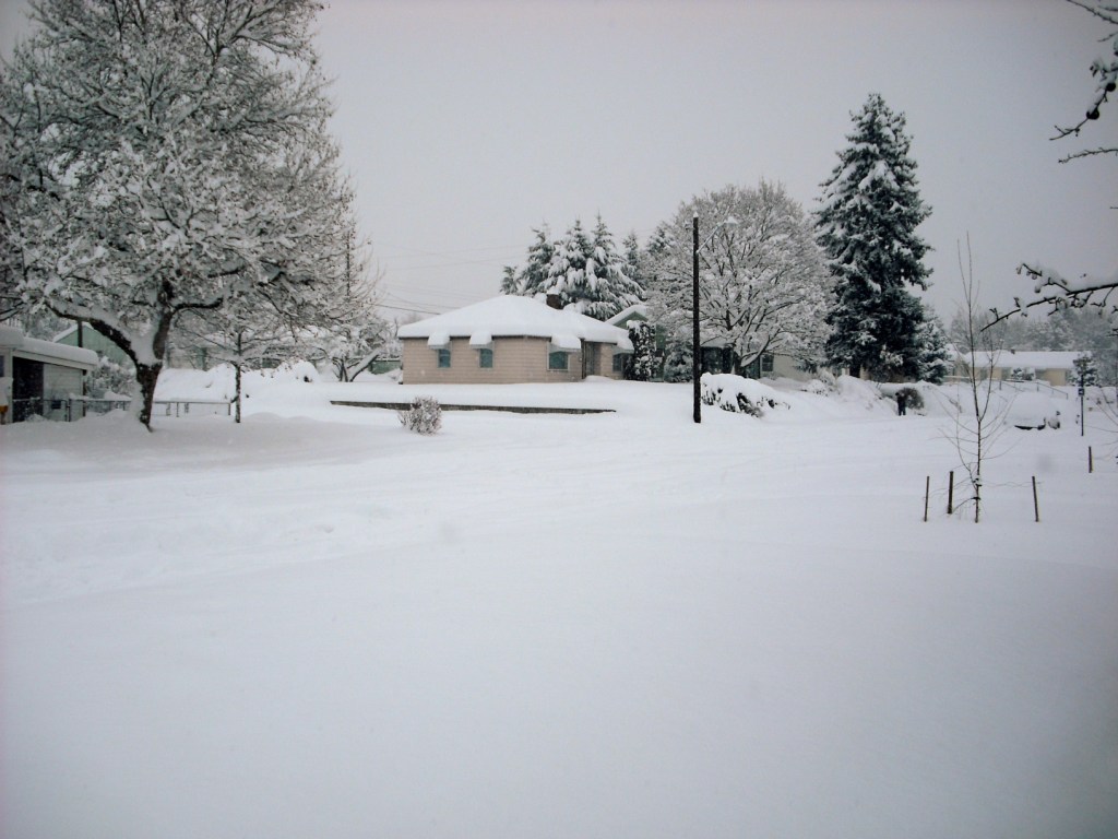DSCF1079.JPG