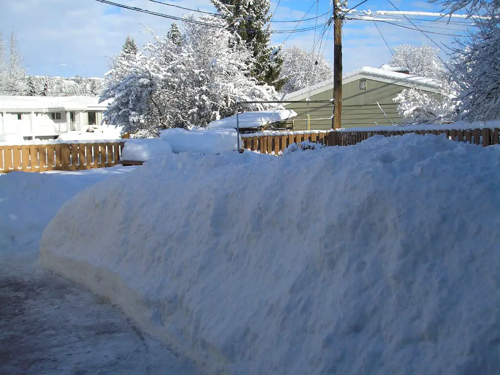 Patio2_1.JPG