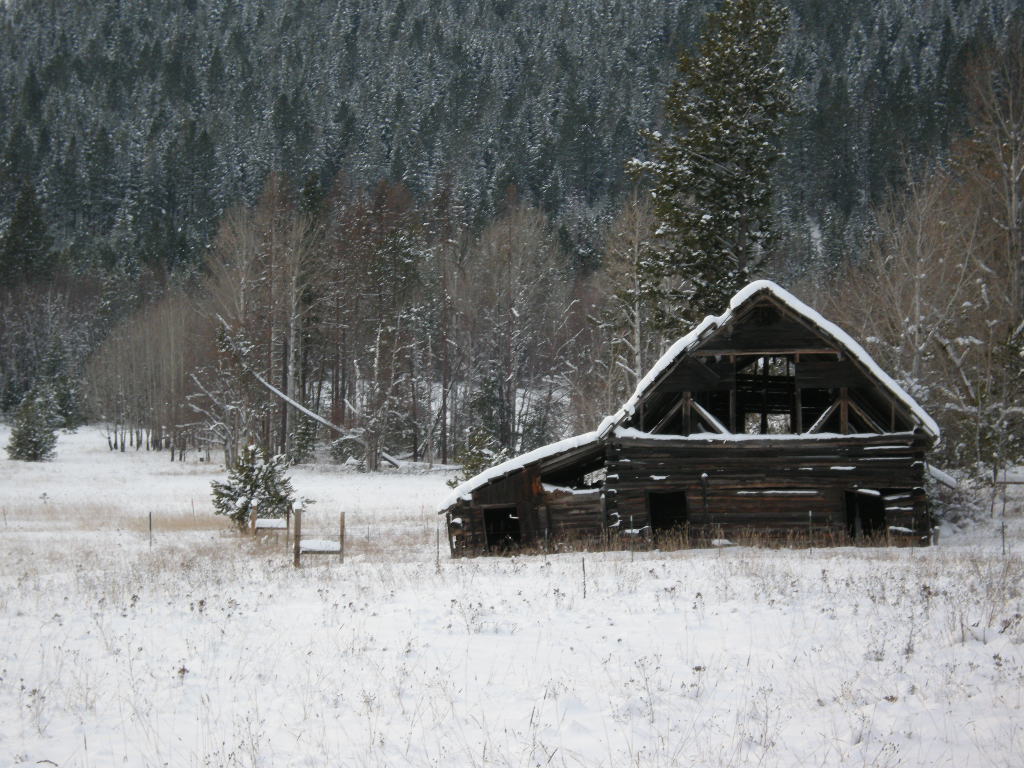 Xmas_2008_024.jpg