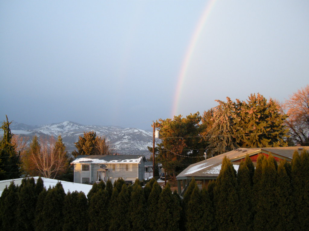 Here_yesterday...Gone_this_morning_004.jpg