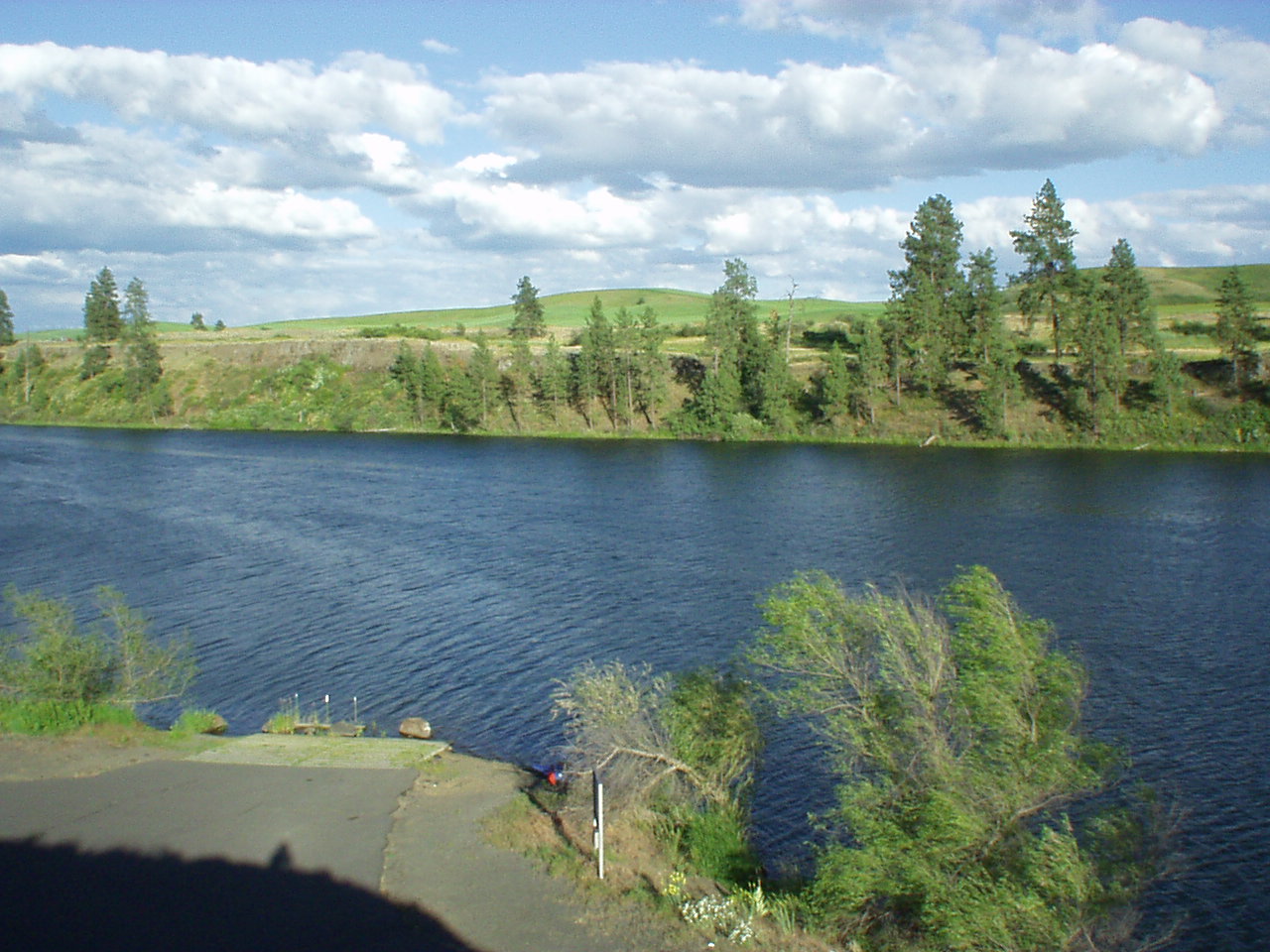 P6300021_copy.JPG