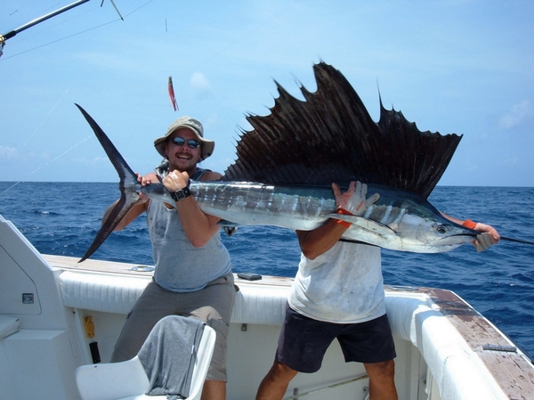 sailfish.jpg
