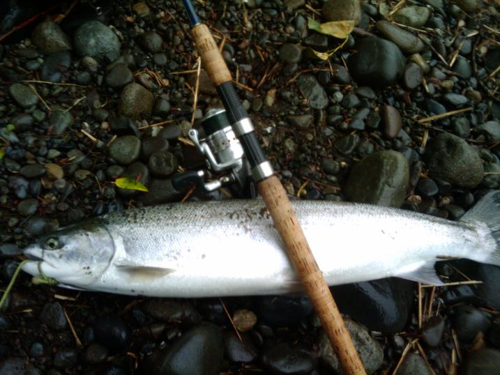 2010-05-29_09.25.35.jpg