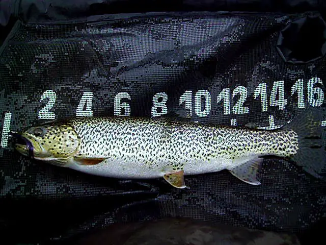 1-11-2012_001.jpg