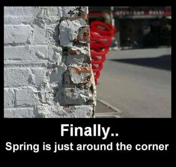 spring is just around the corner.jpg