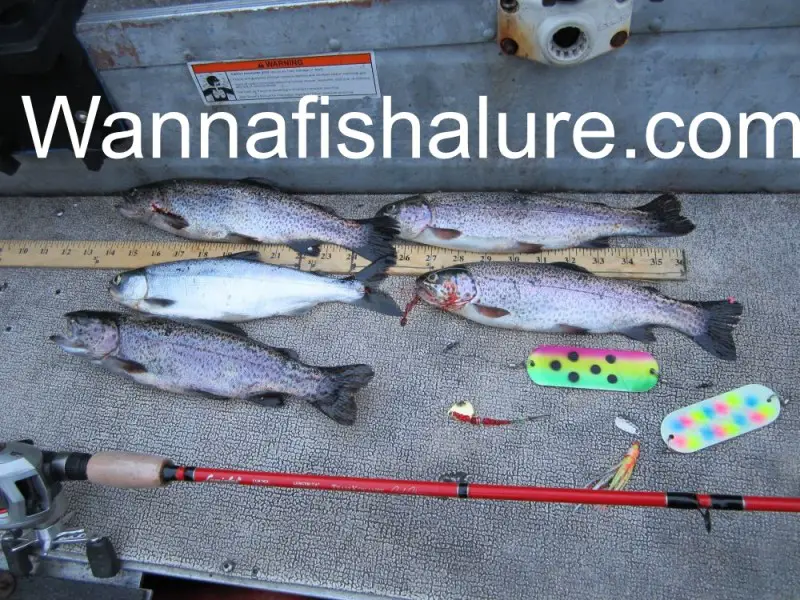 angle lake-6-11-12 Barry.JPG