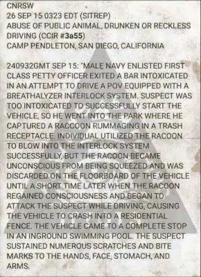 petty officer and raccoon and breathalyzer.jpg