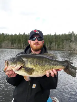 20170420_132054-768x1024.jpg (150.81 KiB) Viewed 26152 times 20170420_132054-768x1024.jpg