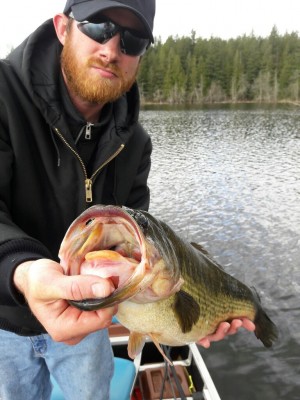 20170420_132120-768x1024.jpg (182.51 KiB) Viewed 26152 times 20170420_132120-768x1024.jpg