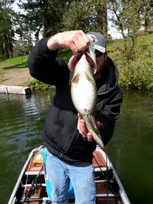 20170428_140253-768x1024.jpg (240.98 KiB) Viewed 26004 times 20170428_140253-768x1024.jpg