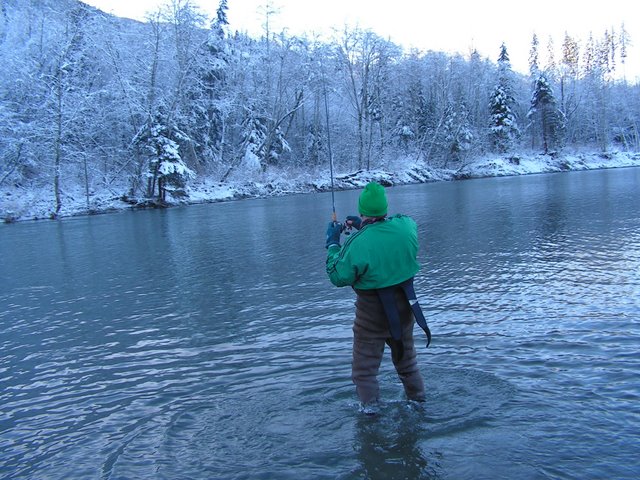fishon44.jpg