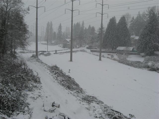 Snow_Dec_2008_033_Small.jpg