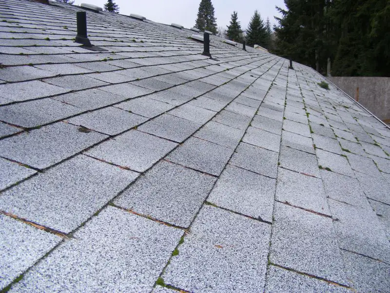 roof_outside.jpg